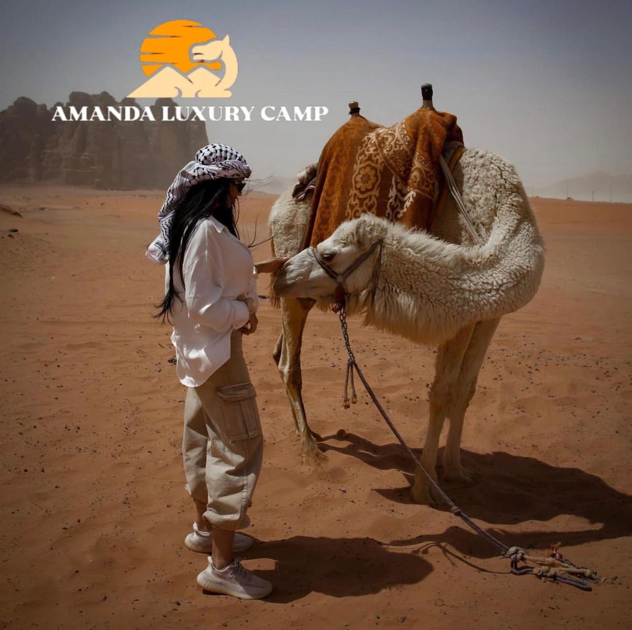 Готель Amanda Luxury Camp Ваді-Рам Екстер'єр фото